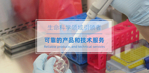 上海致備生物科技 卓越的技術服務賦能行業創新